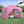 Outdoor 10x10 Ft Pop Up Gazebo Canopy Tent with Removable Sidewalls