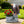 Standing Eagle Statue Garden Planter