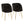 Fran - Contemporary Elegant Design Chair (Set of 2)