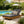 Acacia Wood Chaise Lounge with Cushion - Teak Finish