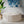 Modern Style Large Cocktail Ottoman