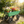 Folding Poly Garden Dump Truck with Steel Frame and Pneumatic Tires