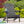Malibu Adirondack Chair