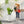Spacious Plant Pots, Plants Box Set of 3, Tall Planters Box