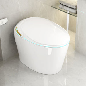 Unique Smart Toile With Built In Bidet, Auto Open / Close Seat, Foot Sensor, LED Display, Night Light, Warm Water & Dryer Ceramic