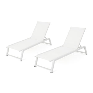 Myers Modern Chaise Lounge Set With Adjustable Back