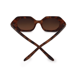 Came To Win - Tortoise - TRAPSKI