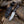 Captain Damascus Hunting Knife with Gut Hook & Exotic Wenge Wood Handle - TRAPSKI