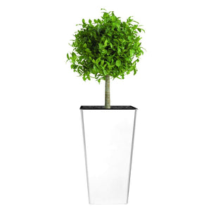 The HC Companies Cascade 15 Inch Wide Self Watering Square Planter, Glossy White