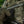 M-Tac Patch Clover GID
