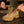 M-Tac Tactical Sneakers Leopard R Winter Gen.II