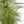 4Ft Pre Lit Artificial Christmas 2 Piece Set - Green
