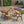 Outdoor Hermosa 7 Piece Wood Dining Set with Cushions
