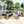 4 Pieces Outdoor Acacia Wood Sofa Set with Coffee Table