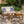 Outdoor Chat Set With Coffee Table and Loveseat