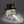LED Light-Up Skull with Top Hat & Mist Maker