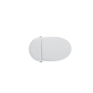 Tankless Smart Toilet With Bidet Built In, 1 Piece, Auto Flush, Auto Open / Close, Heated Seat, Bubble Wash, Warm Water And Dry, Adjustable Temp, Remote Control Side Know - White