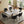 Modern Rectangular Dining Table For 6 With Chairs