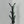 Coat Rack, Hall Tree, Freestanding, 8 Hooks, Entryway, Contemporary & Modern