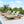 Lounge Chaise Set with Water-Resistant Cushions
