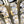 8-Light 23.6' Wide Crystal Waterfall Chandelier