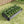 Raised Garden Bed Outdoor 6×3×1 ft Metal Raised Rectangle Planter Bed