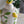 8.7x8.7x15' White Ceramic Lidded Jar with Playful Lemon Design