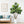 7FT Tall Artificial Banyan Tree Silk Plant – Large Faux Greenery
