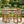 Outdoor Acacia Wood Bar Stools with Cushions (Set of 4)