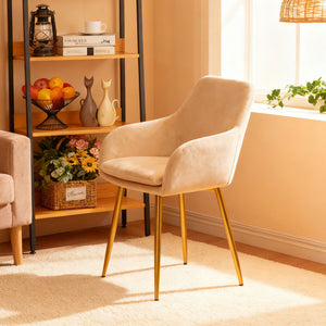 Dining Chair Set For Dining Rooms (Set of 2) - Beige