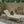 Maki Chaise Lounge