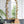Full Length Arched Wall Mirror With en Leaf Accents Decorative Mirror For Living Room Bedroom - Gold