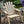 Log Wooden Deck Chair