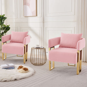 Modern Classic Decorative Chair with Teddy Fleece Upholstery