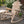 Lakeland Mills Country Cedar Log Wood Outdoor Porch Patio Rocking Chair, Natural