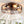 20 Inch Caged Ceiling Fan with Lights and Remote Control
