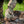 M-Tac Boot Gaiters Elite
