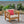 Brava Mid-Century Modern Club Chair with Water Resistant Cushions