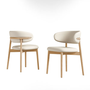 Mid-Century Modern Dining Chair (Set of 2)