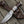 Champion Damascus Hunting Utility Knife with Exotic Rosewood and Bone Handle