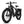 CHEETAH HUNTING | EBIKE
