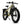 CHEETAH HUNTING | EBIKE