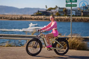 CHEETAH HUNTING | EBIKE