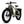 CHEETAH HUNTING | EBIKE