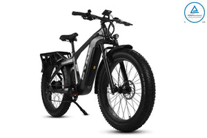 CHEETAH HUNTING | EBIKE