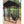 Lucky Dog Uptown Outdoor Covered Kennel Heavy Duty Dog Cage Pen (4 Pack)