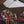 Clam Quick Set Escape Sky Screen Portable Camping Outdoor Gazebo Shelter, Brown - TRAPSKI