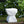 Cleo Modern Outdoor Side Table with Weather-Resistant MGO - Matte White