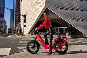 COLLIE CARGO | EBIKE