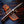 Compact D2 Hunting Knife Rosewood Handle SS Guard